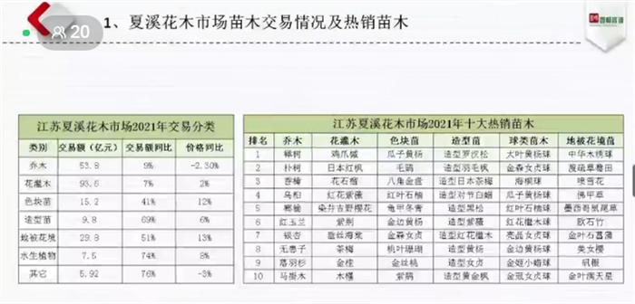 去年苗市“高开低走、春暖秋寒”，今年什么品种有机会？