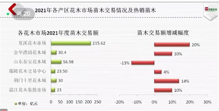 去年苗市“高开低走、春暖秋寒”，今年什么品种有机会？