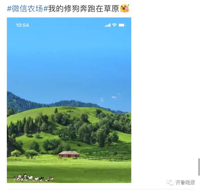 “微信农场”冲上热搜！画风逐渐跑偏，不仅能养猪养羊，还能打蟑螂...