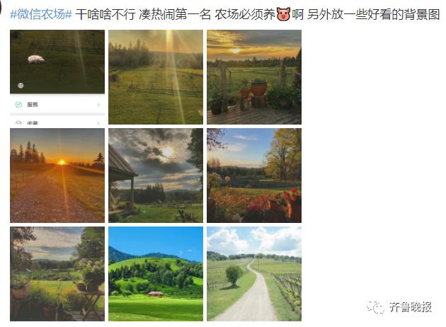 “微信农场”冲上热搜！画风逐渐跑偏，不仅能养猪养羊，还能打蟑螂...