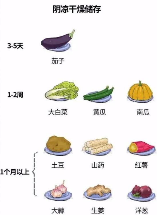 蔬菜放冰箱一周，还能吃吗？不会保存等于白买！