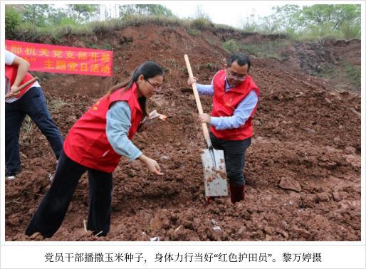 兴业县委组织部机关党支部开展“撂荒地复耕复种”主题党日活动