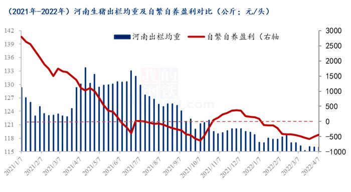 Mysteel解读：公共卫生事件管控下的河南生猪市场现状