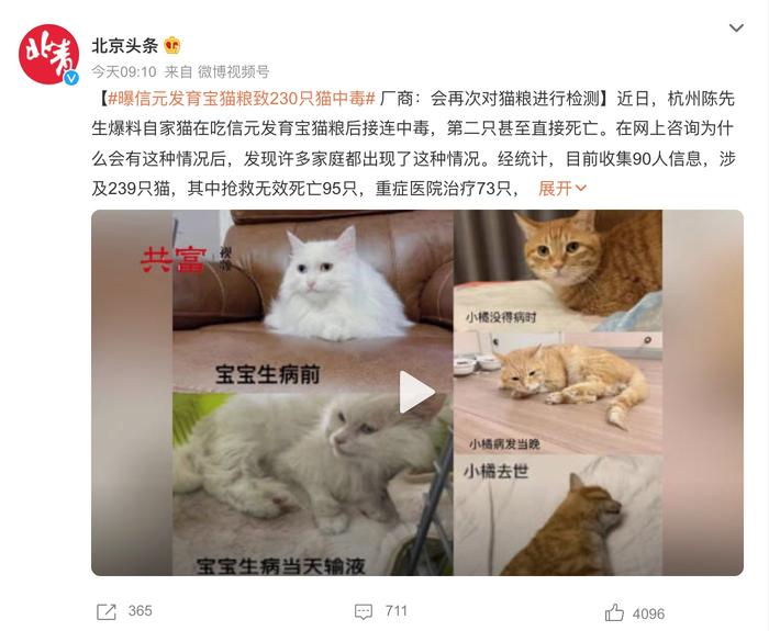 近百只猫咪疑因食用猫粮后死亡，信元发育宝发布公告：猫粮符合国家标准，仍会积极救治猫咪