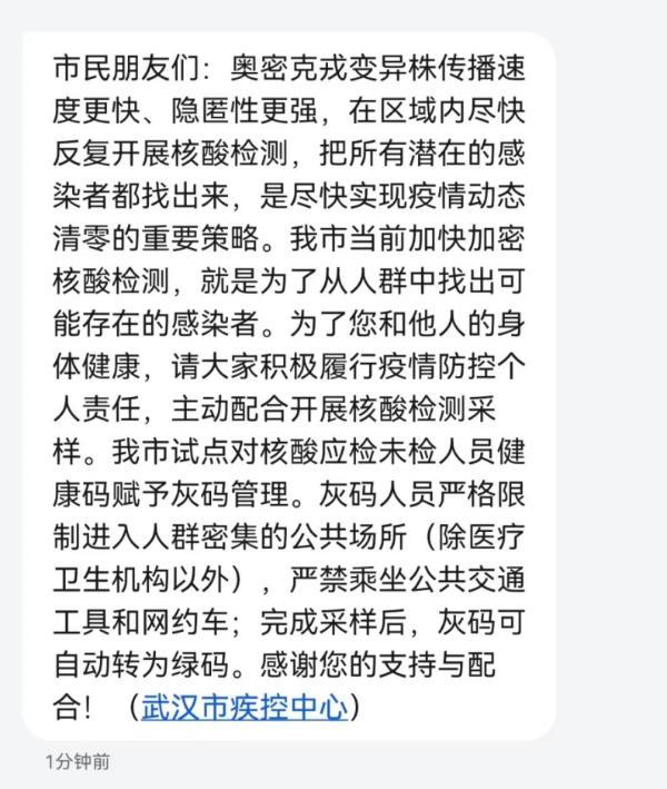 武汉市将试点“灰码”管理！严禁乘坐公共交通工具、限制进入人群密集公共场所