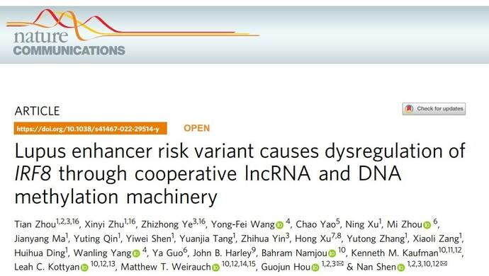 《自然-通讯》刊发仁济医院沈南团队突破性成果：发现红斑狼疮潜在的治疗靶点