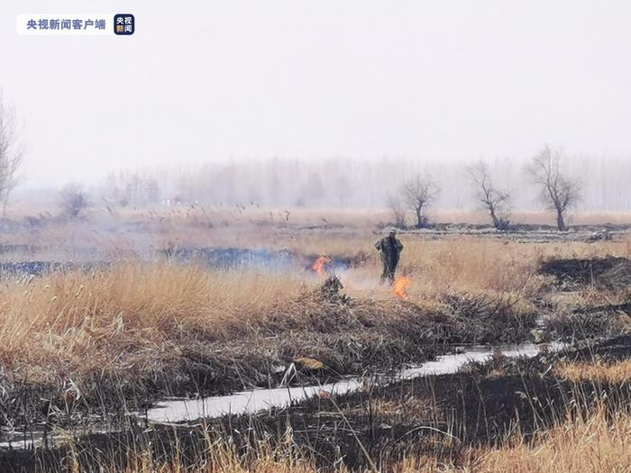 黑龙江省出现64处露天焚烧秸秆和根茬残余物火点！多地被约谈