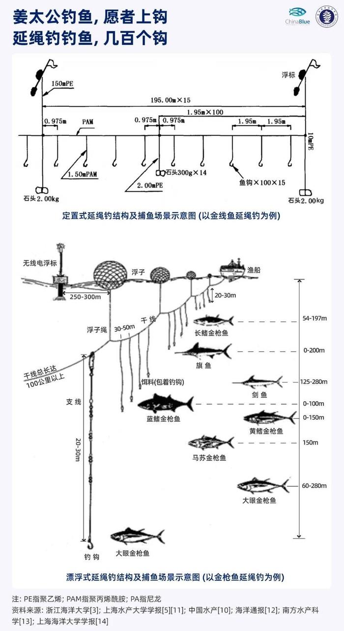 休渔期还能正大光明去捕鱼，延绳钓是什么来历？