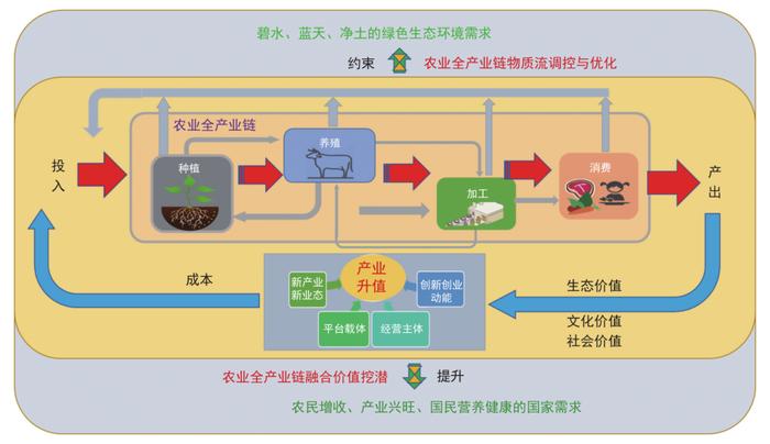 张福锁院士团队：我国农业全产业链绿色发展路径与对策研究