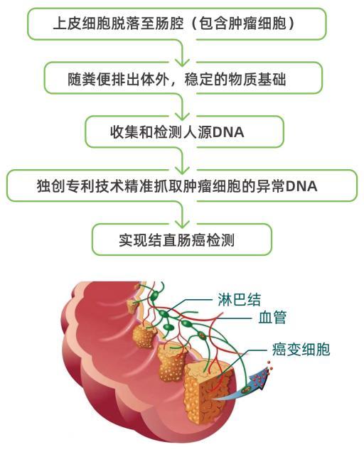 干货！一文了解肠癌SDC2基因甲基化检测