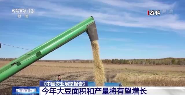 《中国农业展望报告》发布：今年大豆种植面积和产量将有望增长