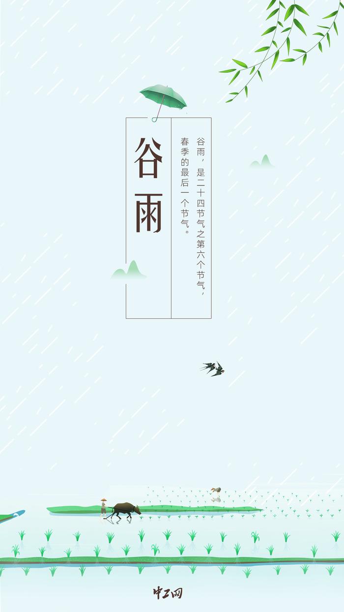 今日谷雨｜万物正逢时