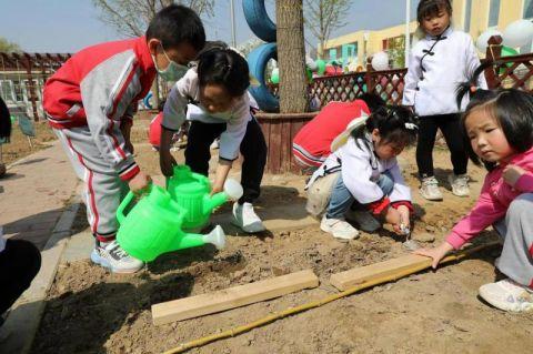 怀柔渤海镇幼儿园开起幼儿“农耕运动会”