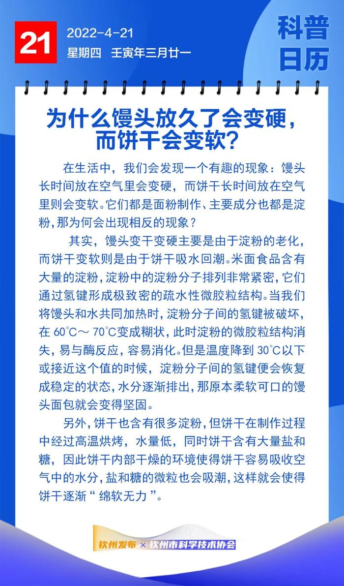 钦州科普日历丨为什么馒头放久了会变硬，而饼干会变软？