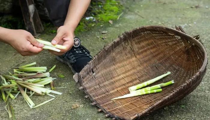 【夜读 · 我们的新时代】儿的心思娘知道