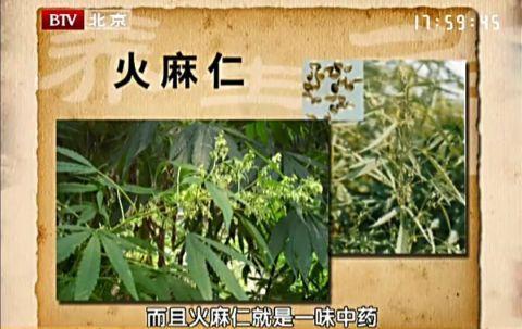 “长寿菜”不是红薯，而是它！100岁老人常吃！“祛湿茶”健脾、通肠胃，才一块钱