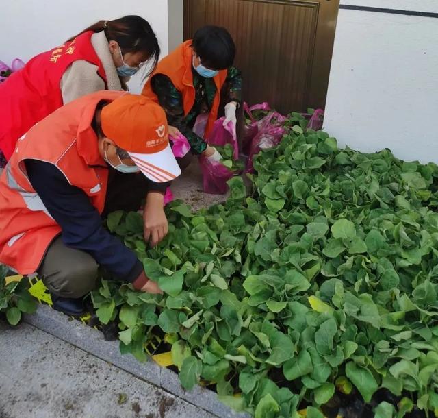 党旗飘扬丨区道德模范管仕忠：基层防疫阵地的“第一守门员”