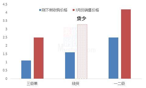 Mysteel解读：苹果现货价格连续上涨，存储毛利创历史同期新高