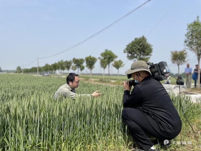 央视新闻频道记者走进舞钢市现场连线直播小麦田间管理