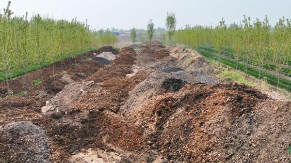 消失的污泥去哪儿了？中央督察组曝光：多地长期违规处置污泥，环境隐患突出