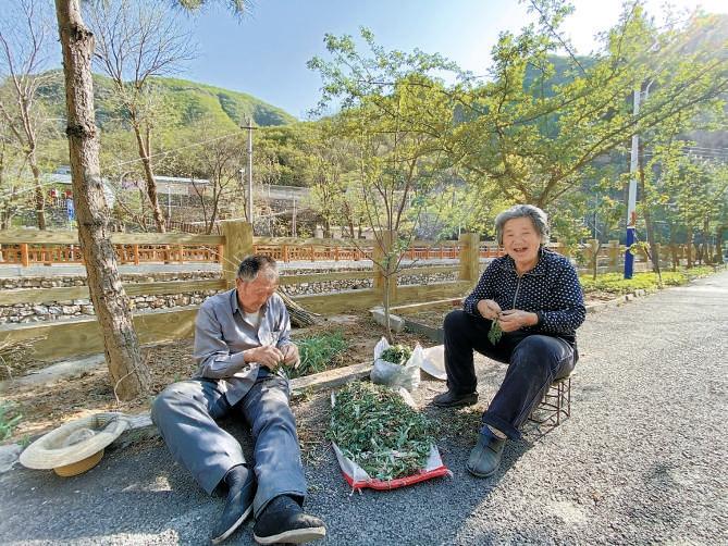 助农项目帮房山的老乡把山货卖进城，能挣钱了，笑模样都跟着多了