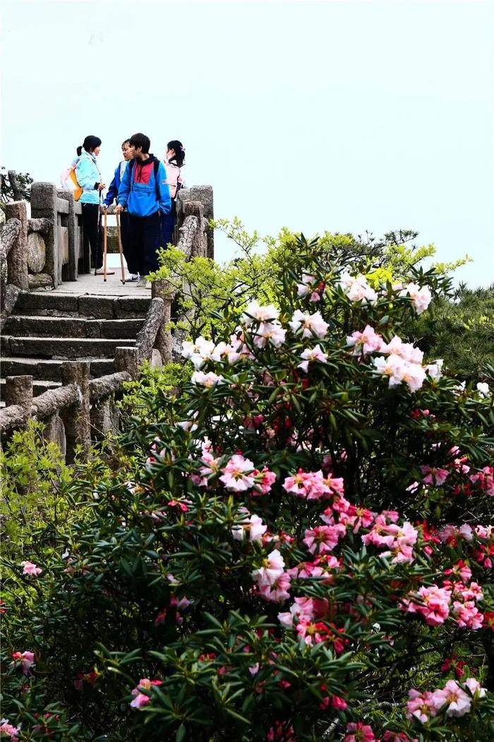 “五一”假期，黄山风景区对市民免门票，索道半价