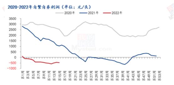 Mysteel解读：近期VB2厂家调整报价带动维生素市场询单略显活跃