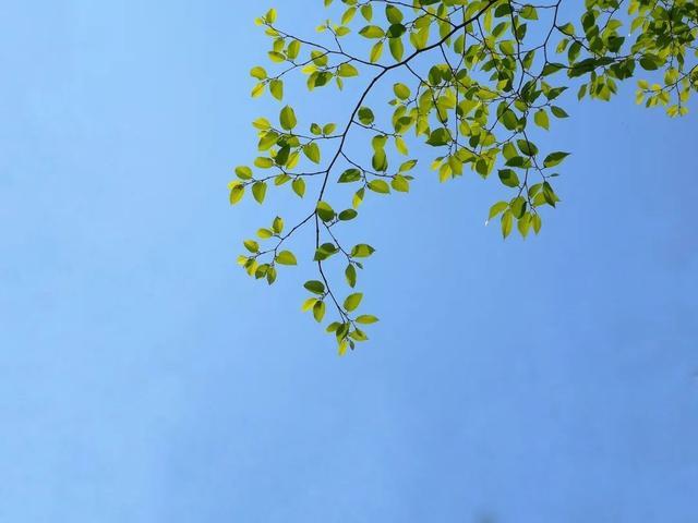 今晚起湖南天气转好 未来三天局地早晨有雾