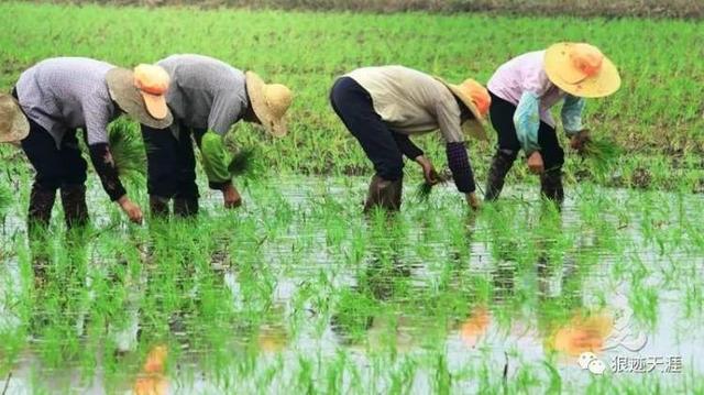 农历中国｜四月初一 · 劳动最光荣