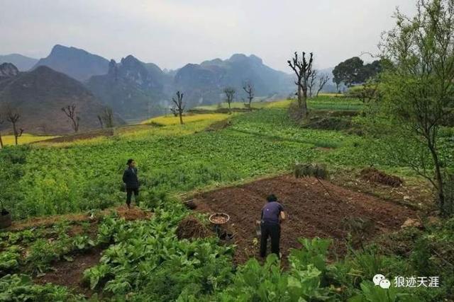 农历中国｜四月初一 · 劳动最光荣