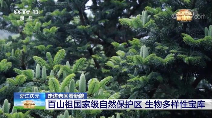 这次，央视用了1个小时介绍丽水……