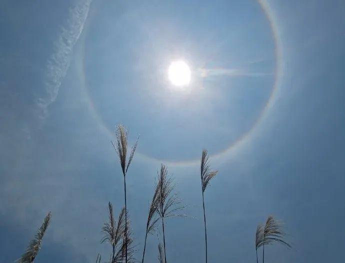 太阳“带圈圈”，看到的都是幸运的人儿→