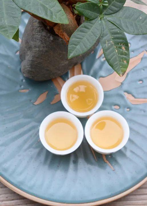 茶香萦绕最潮州｜怀念一杯敬师茶