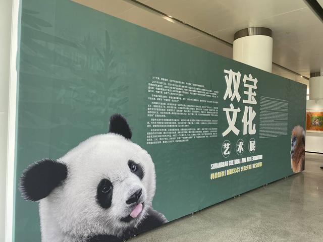 在成都的公园“遇见”大熊猫和金丝猴 “双宝文化艺术展”正式开展