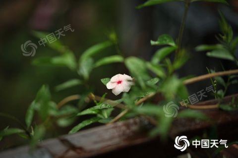 北方多地由热转凉 南方局地将遇暴雨