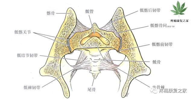 骶髂关节穿刺技巧