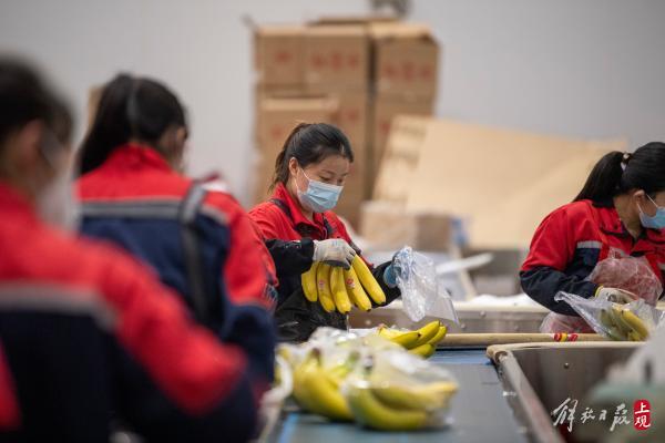 浦东这家企业本轮疫情以来从未停产，日均300多吨果蔬保障市民生鲜供应