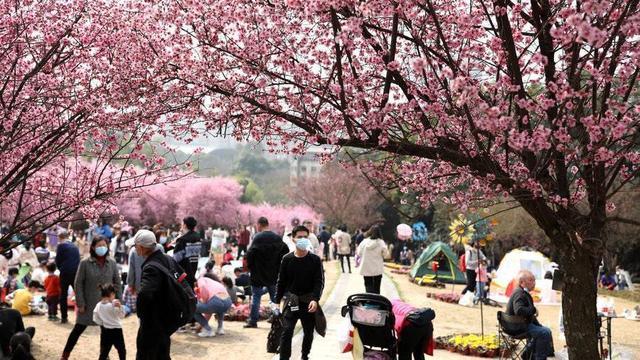 第五届天府迎春赏花节10个最美城市公园出炉 你去过哪几个？