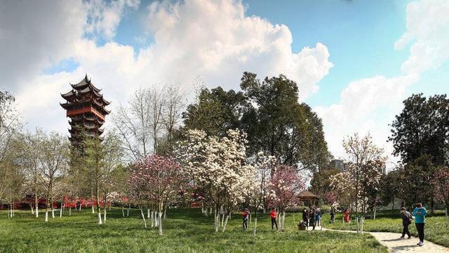 第五届天府迎春赏花节10个最美城市公园出炉 你去过哪几个？