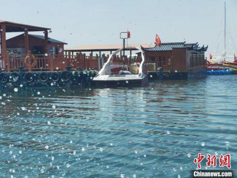 中国第八大淡水湖乌梁素海重生记：从湖水像酱油到水质清又亮