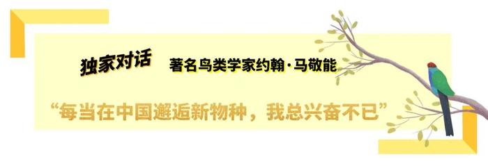 独家对话鸟类学家约翰·马敬能：这本影响一代观鸟人的书，出新版了