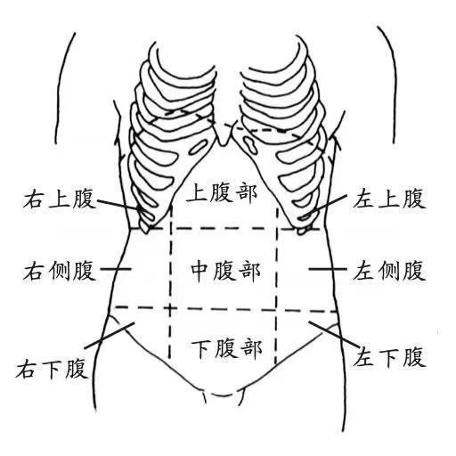 为什么有的“肚子疼”在饥饿时严重，有的饭后更明显？答案在这里