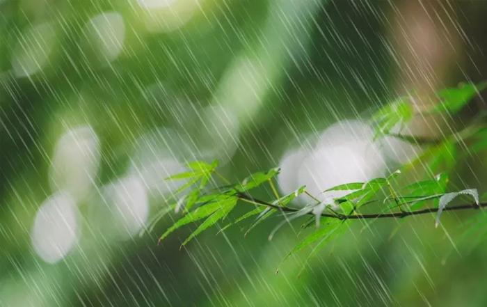 大范围降水排上日程！河北未来三天降水增多 局地中雨！