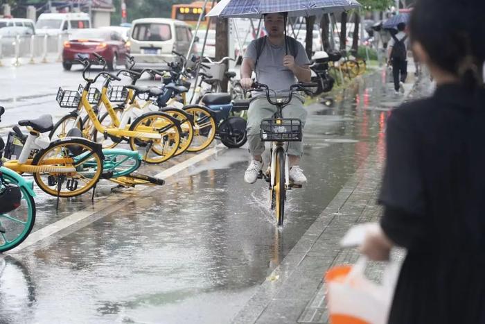 多图直击！风里雨里的城市守护者和深圳上班人