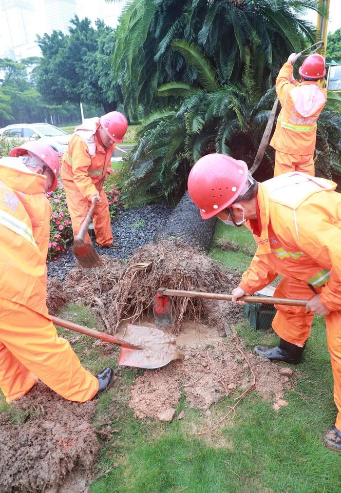 多图直击！风里雨里的城市守护者和深圳上班人