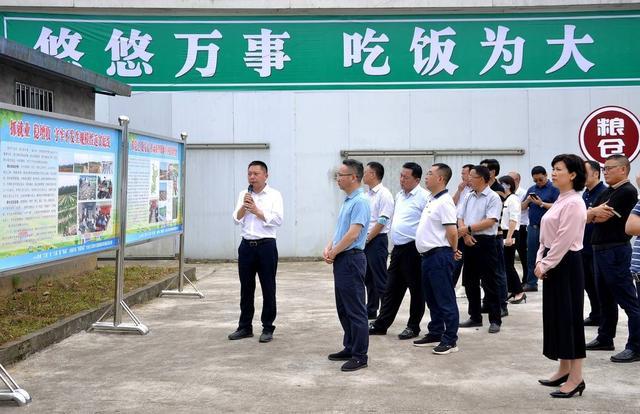 集体经济如何强筋壮骨？四川渠县县委书记带队“拉练”找路径