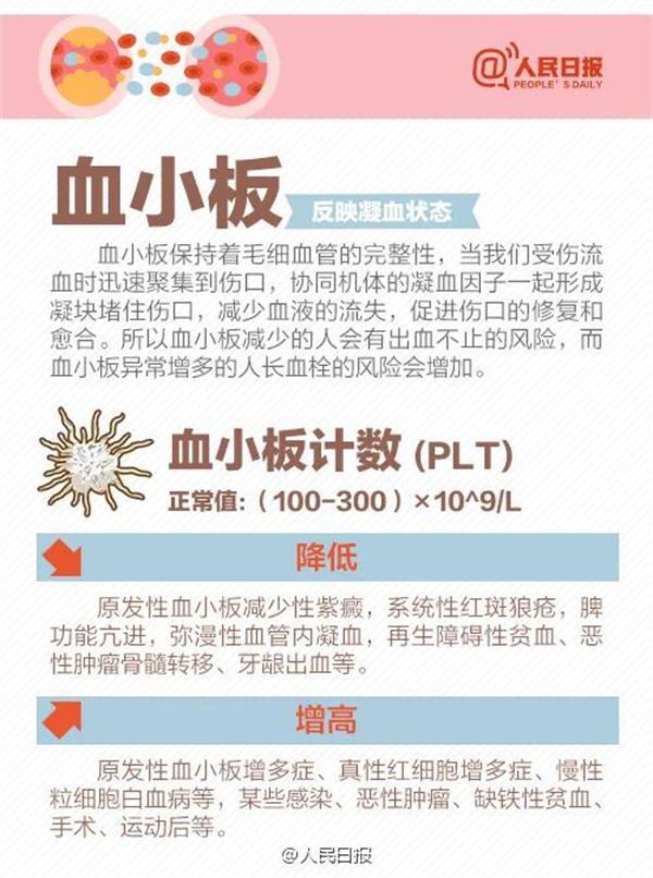 8张图教你看懂血常规化验单