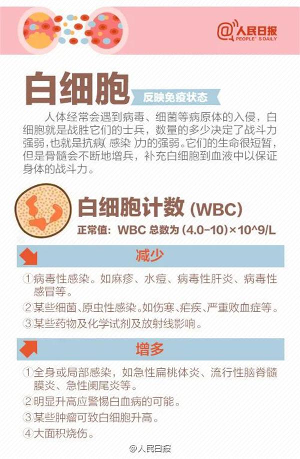 8张图教你看懂血常规化验单