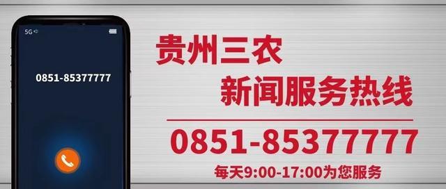 茶香贵州｜收样工作进行时，2022年贵州省春季斗茶赛进入省级决赛阶段