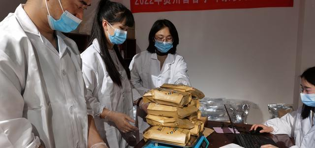 茶香贵州｜收样工作进行时，2022年贵州省春季斗茶赛进入省级决赛阶段